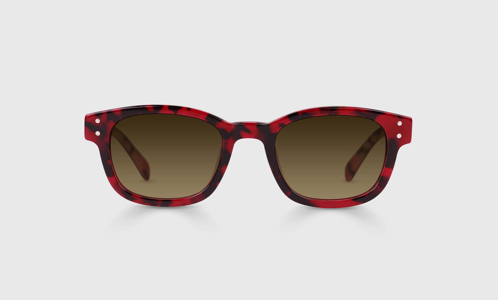 Biff Sunglasses