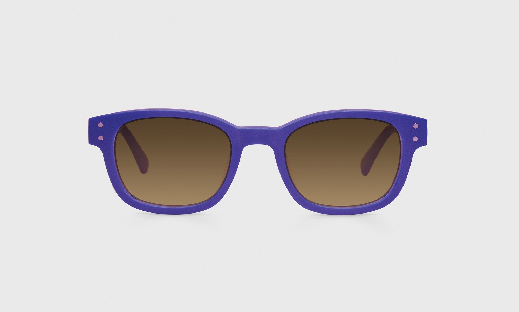 Biff Sunglasses