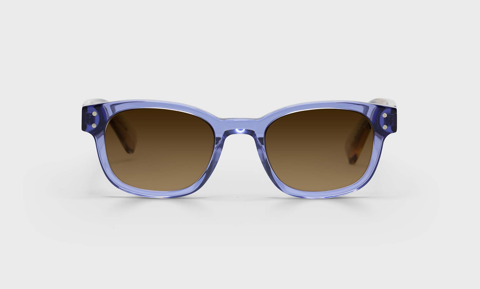 Biff Sunglasses