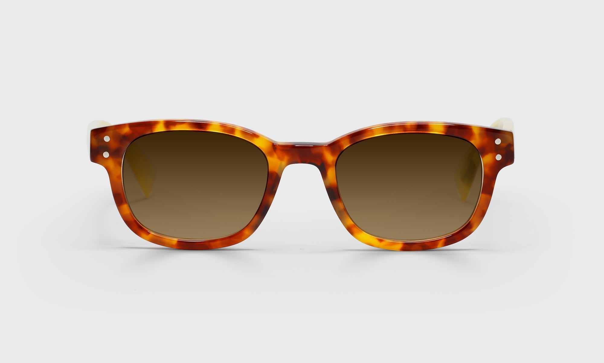Biff Sunglasses