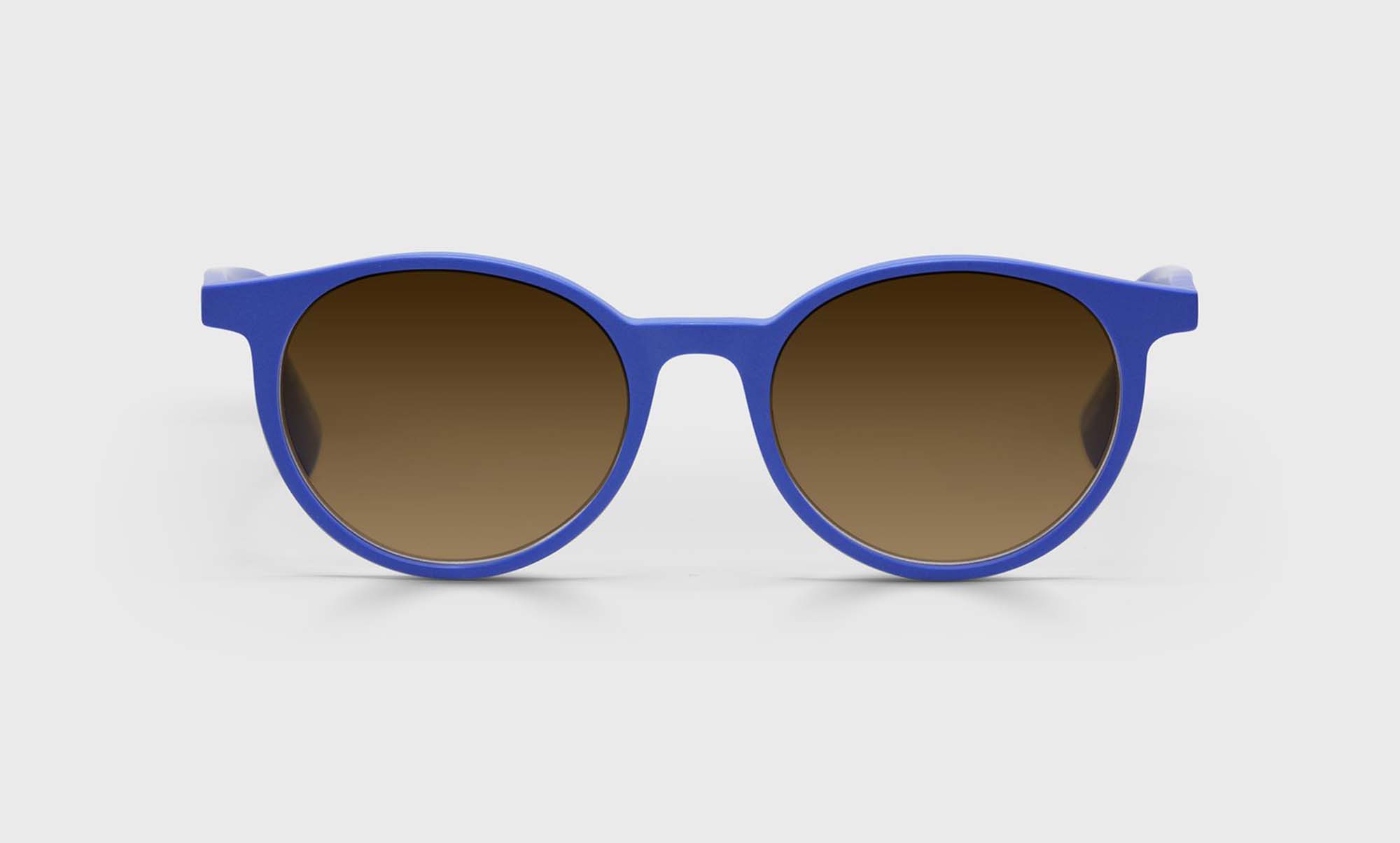 Case Closed Sunglasses