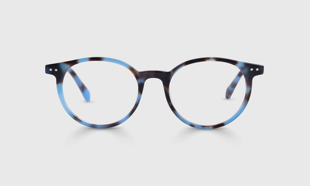 Case Closed Sunglasses