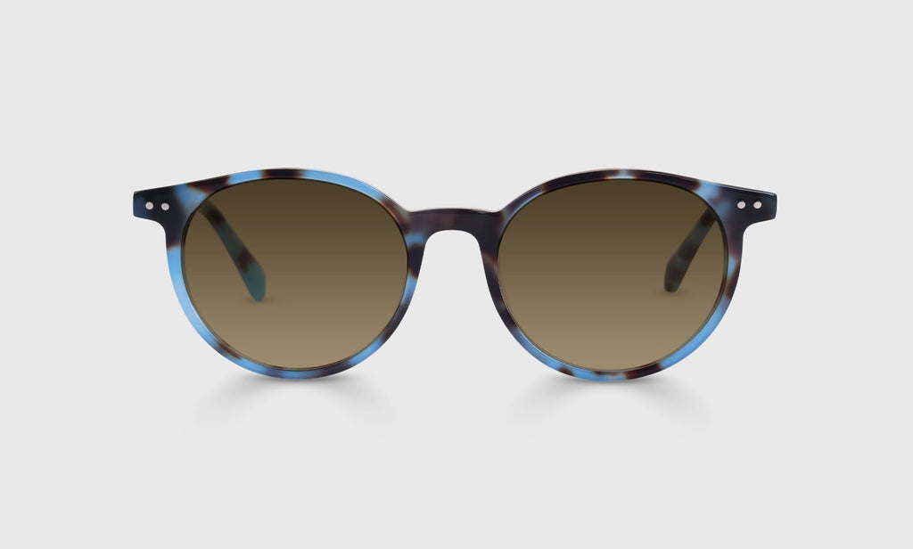Case Closed Sunglasses