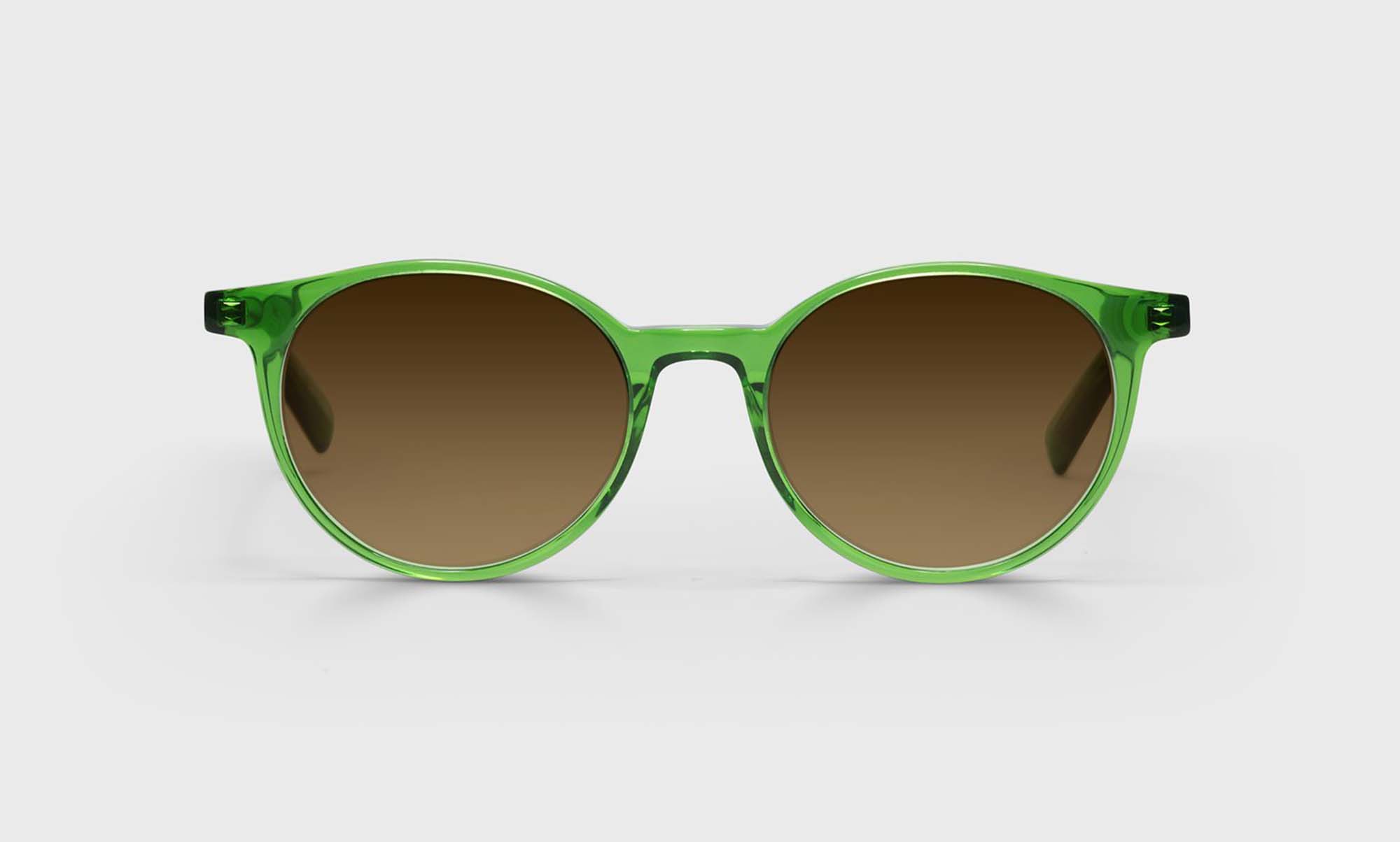 Case Closed Sunglasses