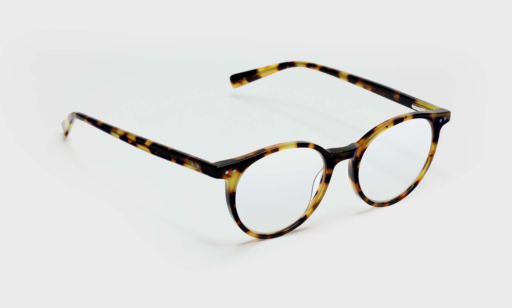 Case Closed Sunglasses