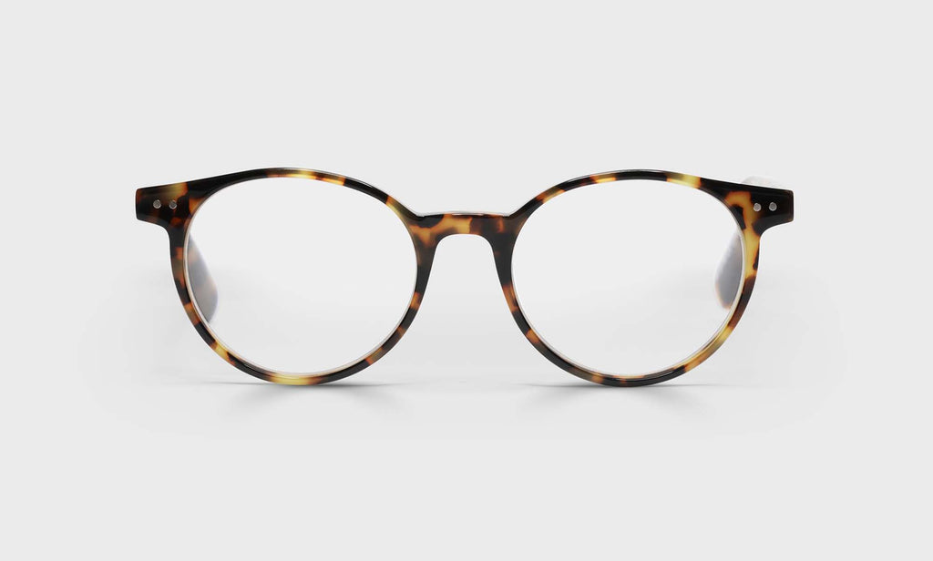 Case Closed Sunglasses