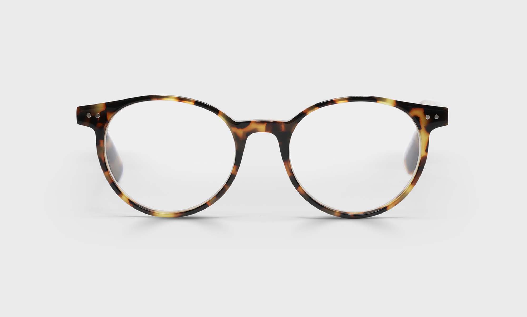 Case Closed Sunglasses