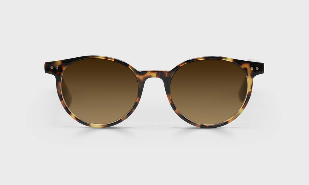 Case Closed Sunglasses