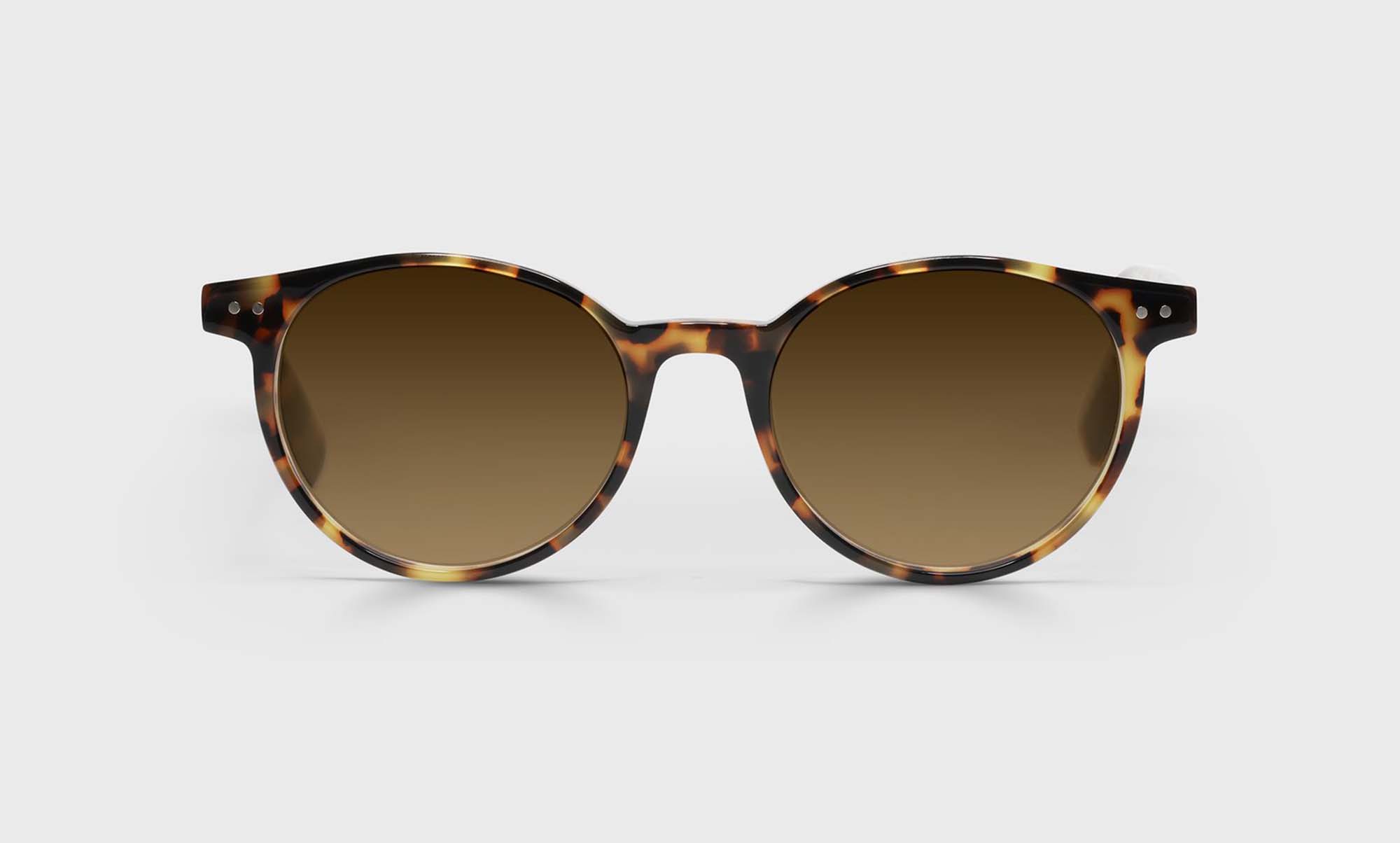 Case Closed Sunglasses