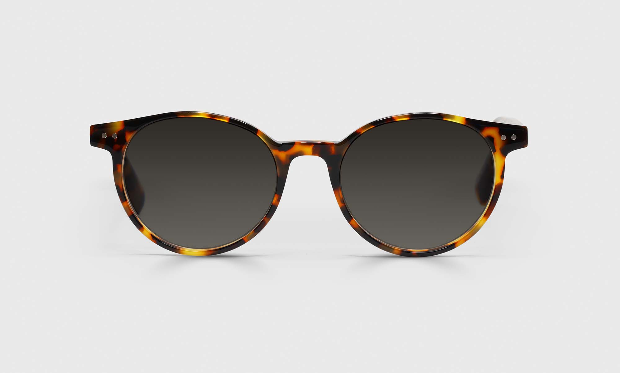 Case Closed Sunglasses