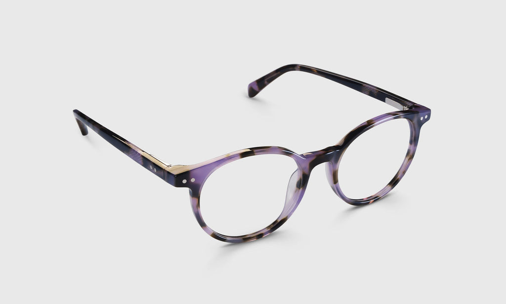 Case Closed Sunglasses