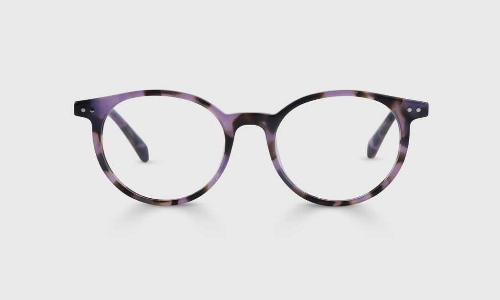 Case Closed Sunglasses