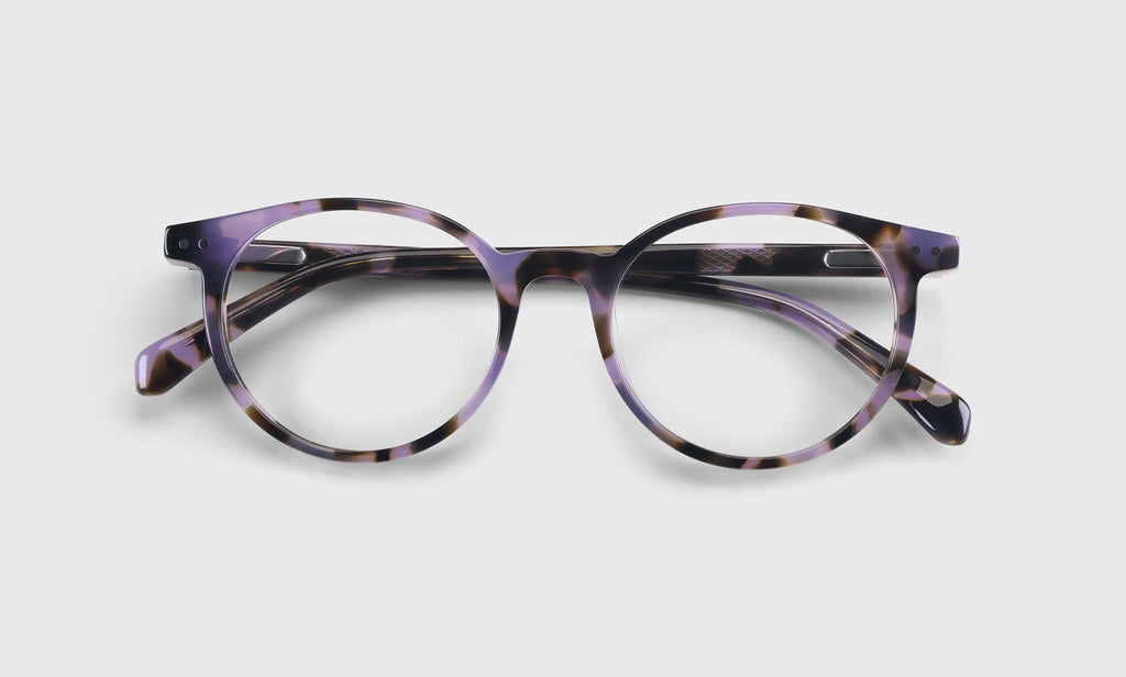 Case Closed Sunglasses