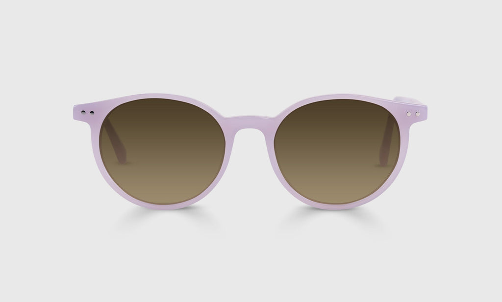 Case Closed Sunglasses