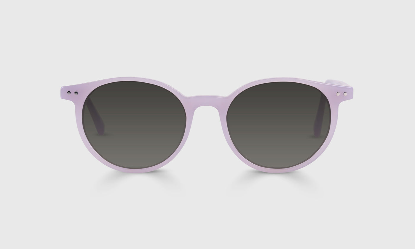 Case Closed Sunglasses