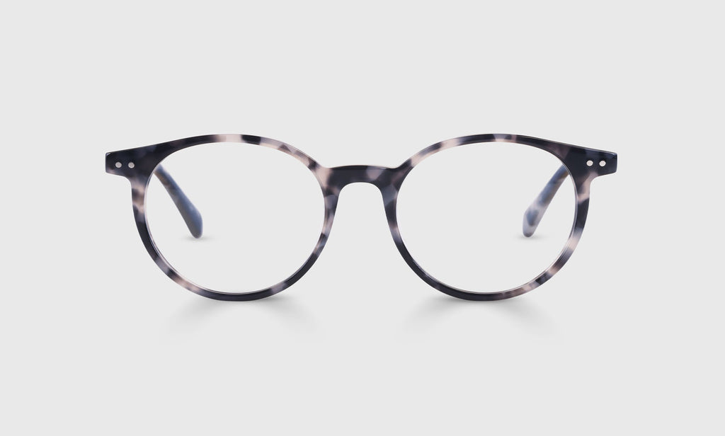 Case Closed Sunglasses