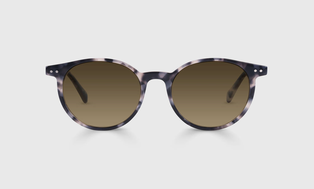 Case Closed Sunglasses