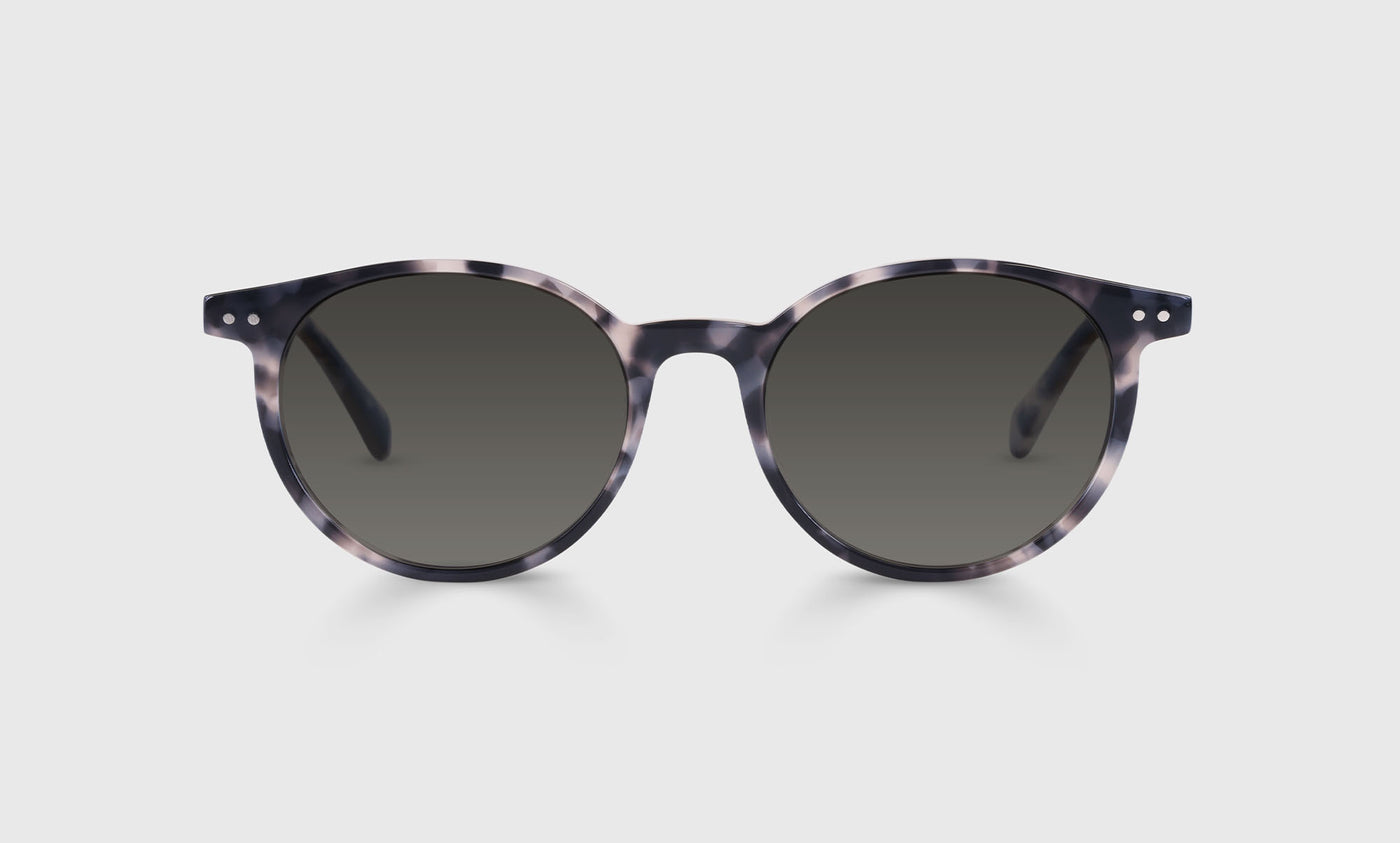 Case Closed Sunglasses