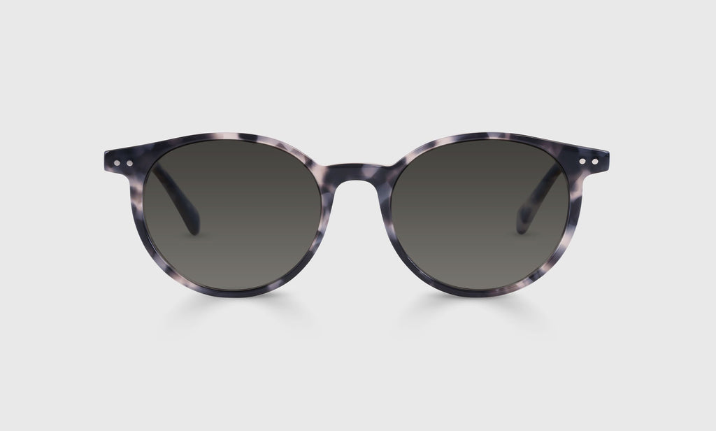 Case Closed Sunglasses
