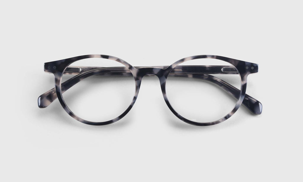 Case Closed Sunglasses