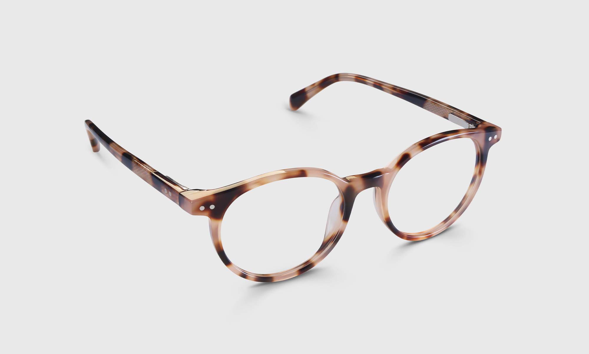 Case Closed Sunglasses