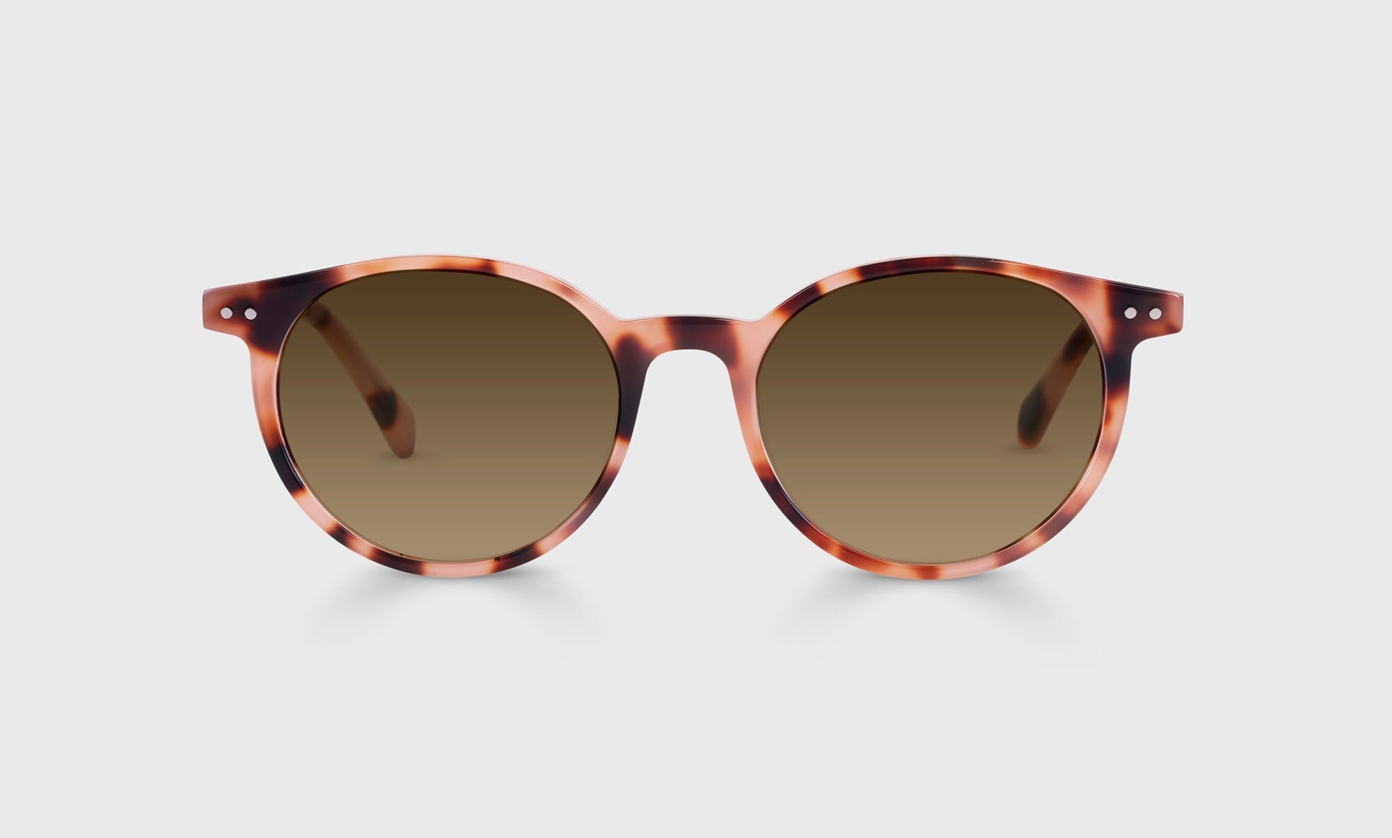 Case Closed Sunglasses