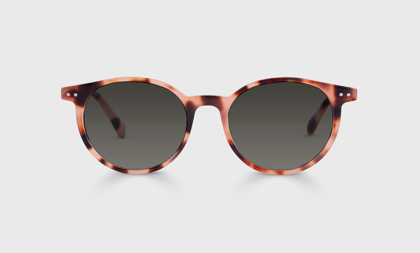 Case Closed Sunglasses