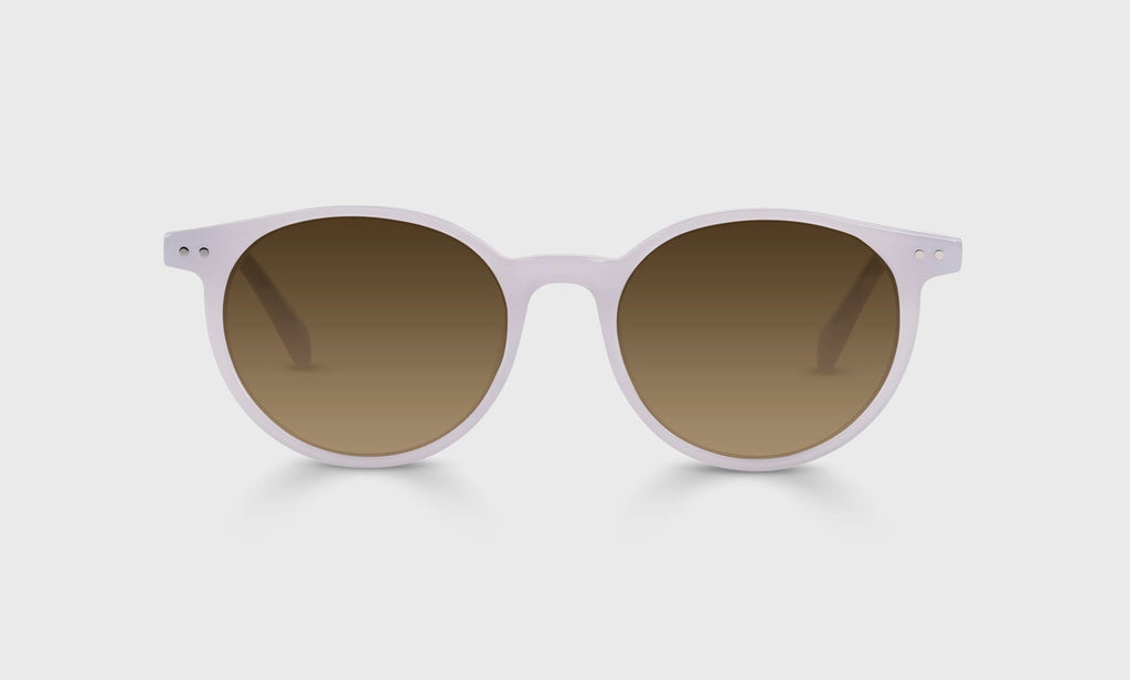 Case Closed Sunglasses