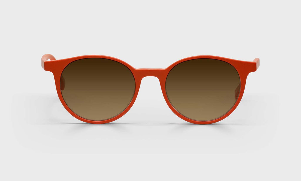 Case Closed Sunglasses