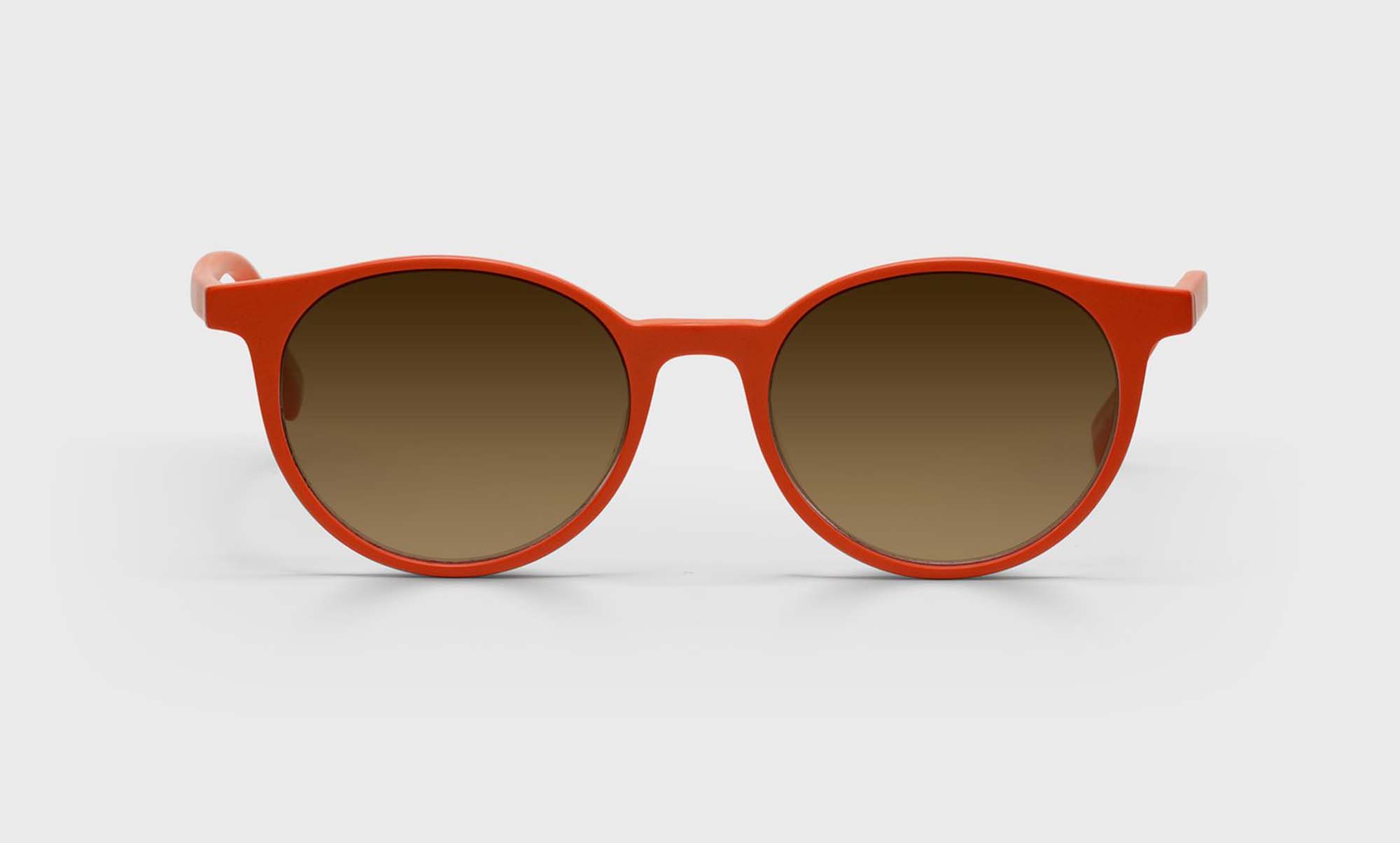 Case Closed Sunglasses