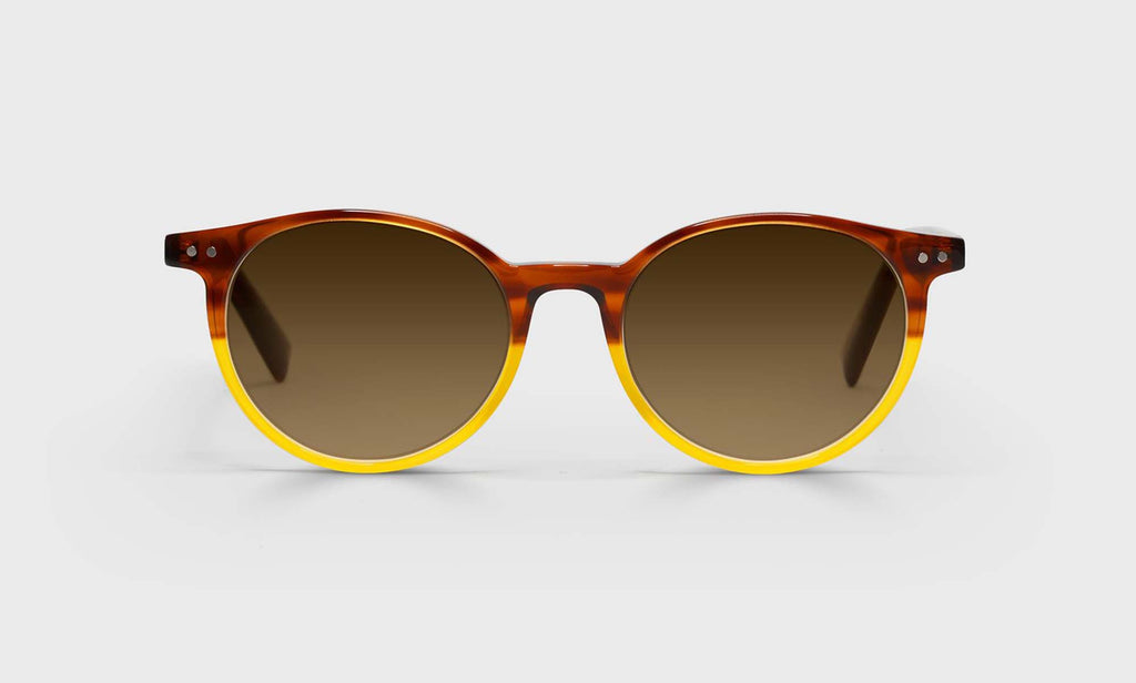 Case Closed Sunglasses