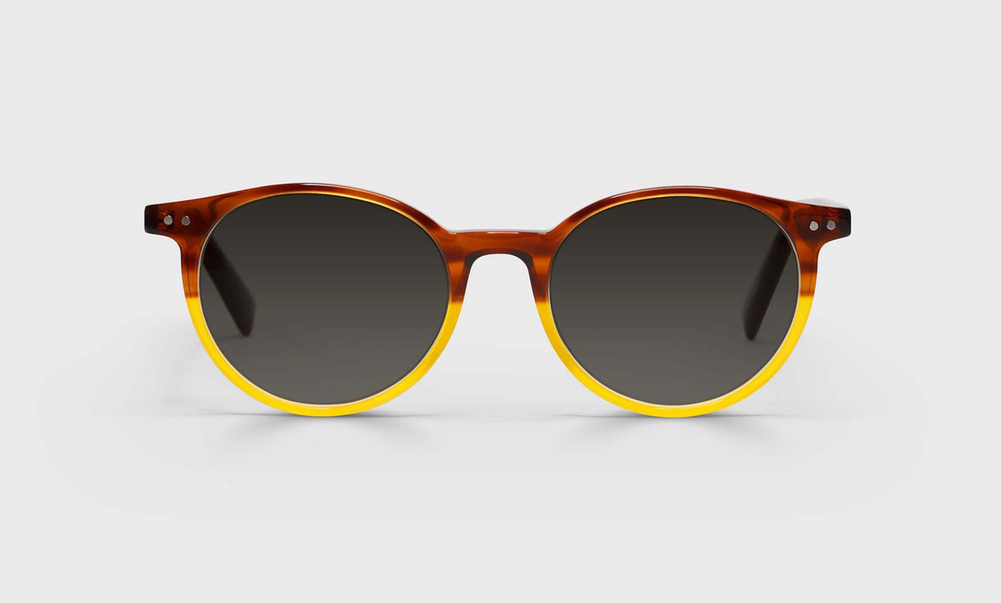 Case Closed Sunglasses