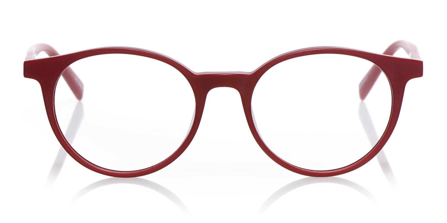 Case Closed Sunglasses