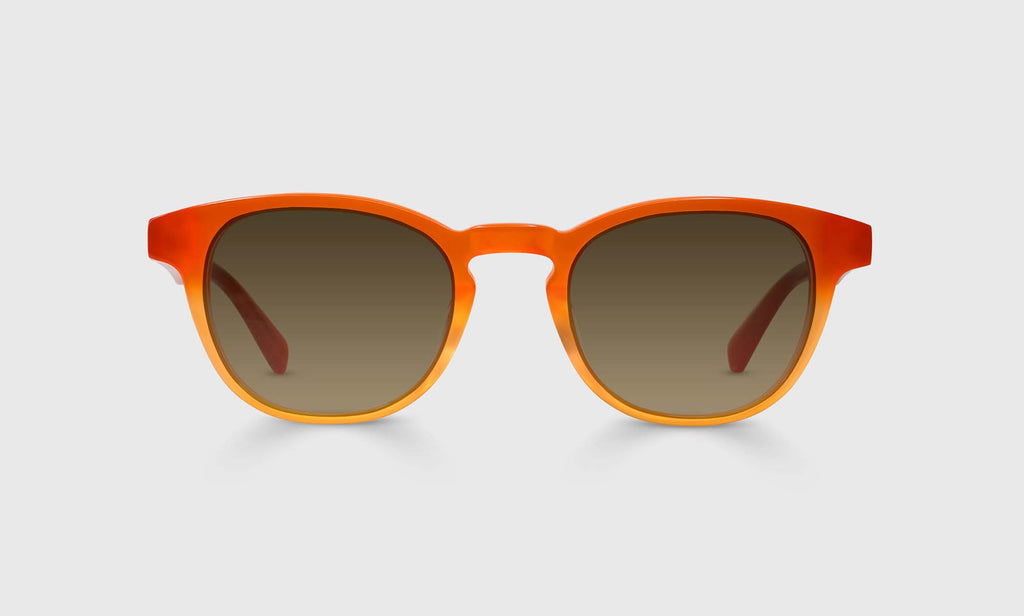Clearly... Sunglasses