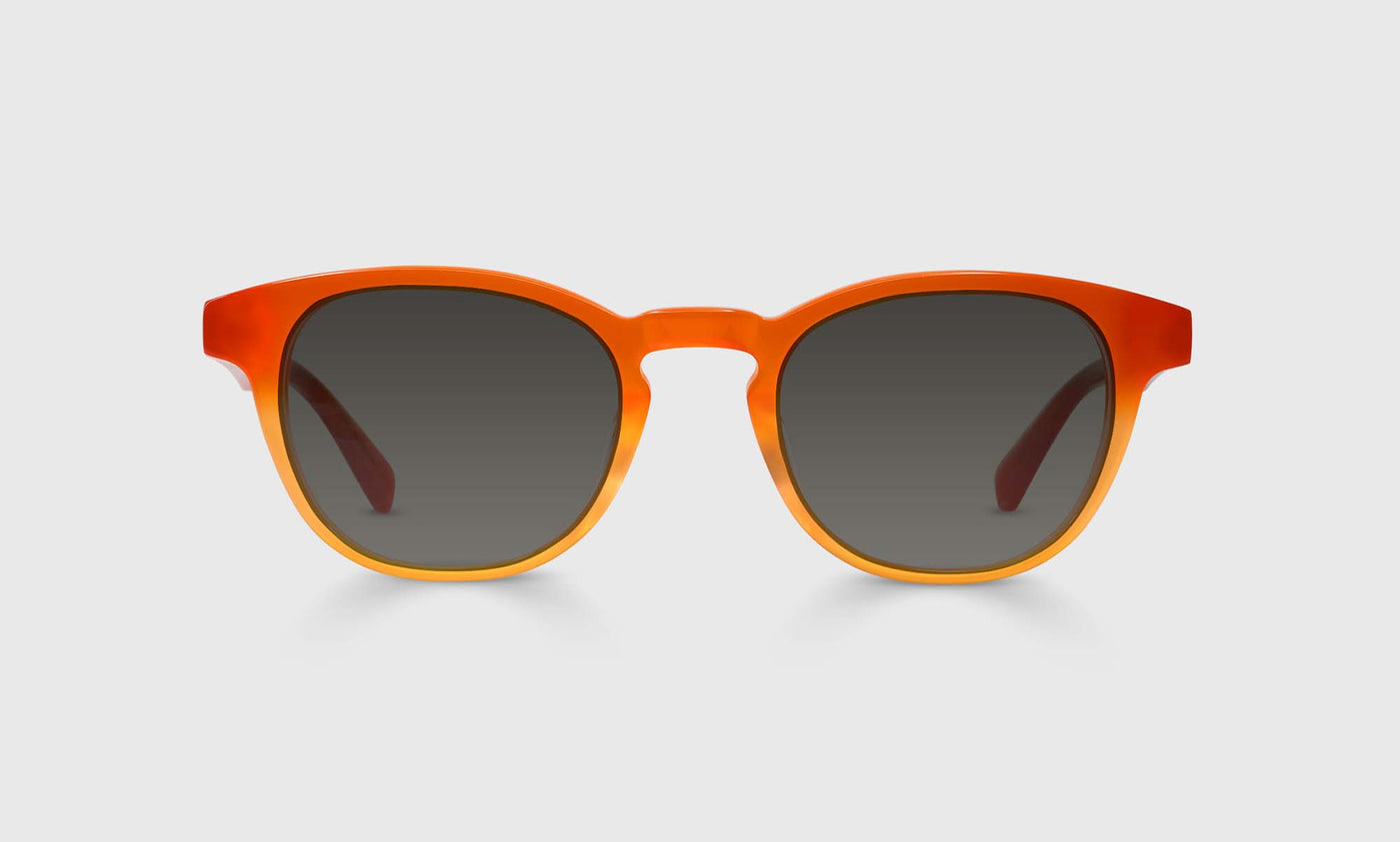 Clearly... Sunglasses