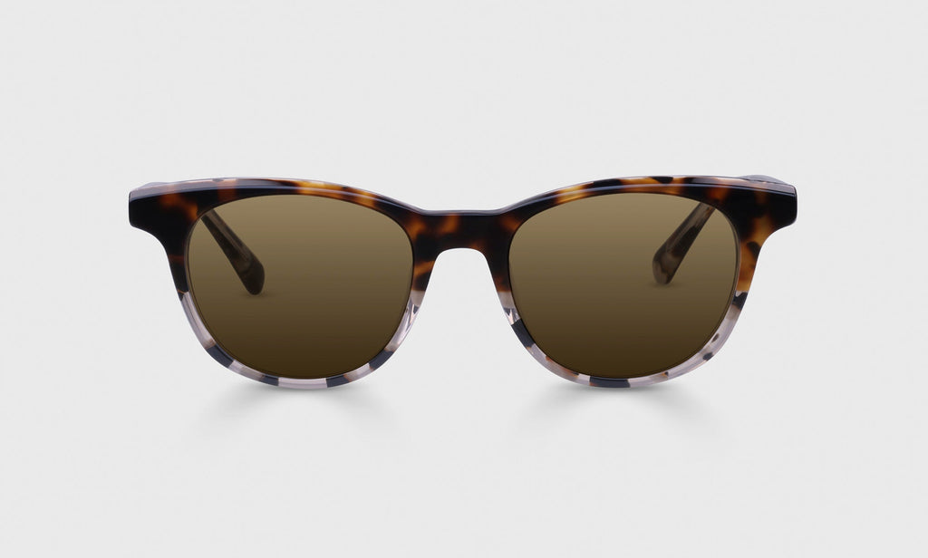 Class Act Sunglasses