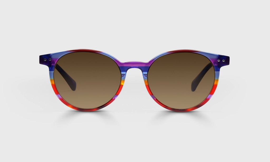 Case Closed Sunglasses